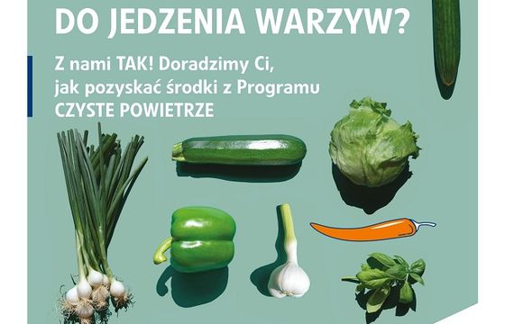 PGNiG promuje program "Prosto po czyste powietrze"