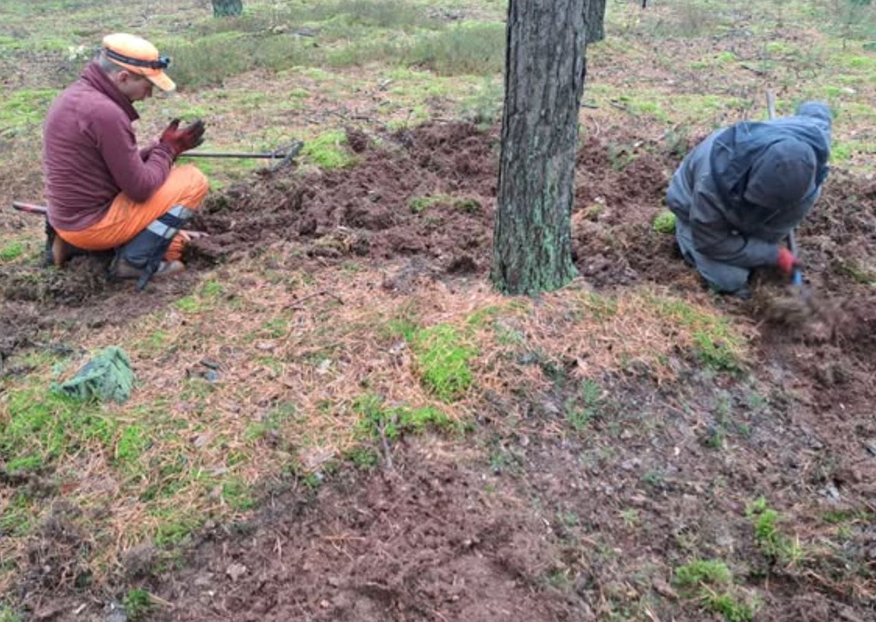 To nie grzybobranie. Tego szukają leśnicy w tym okresie