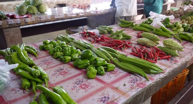 Miliony Polaków kupują roślinne zamienniki mięsa i nabiału