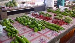 Miliony Polaków kupują roślinne zamienniki mięsa i nabiału