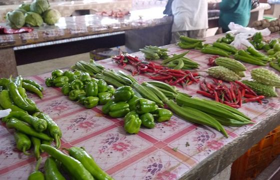 Miliony Polaków kupują roślinne zamienniki mięsa i nabiału