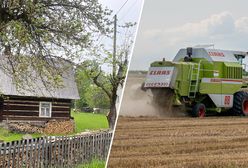 Żyją z rolnictwa. W polu pracują nawet trzylatki. "Praca jest najważniejsza"