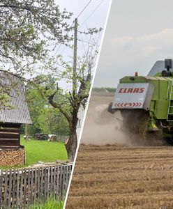 Żyją z rolnictwa. W polu pracują nawet trzylatki. "Praca jest najważniejsza"