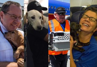 Linie lotnicze uratowały bezdomne zwierzęta przed skutkami huraganu Harvey! (ZDJĘCIA)