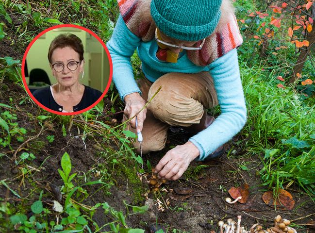 Trujące skarby lasu. Objawy zakażenia mogą wystąpić nawet po latach