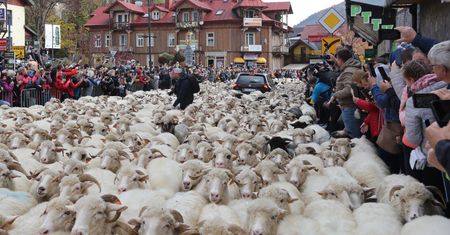 Turyści czekają cały rok. Wielkie wydarzenie lada moment