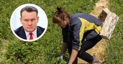Niemcy będą zbierać w Polsce truskawki? "Większej bzdury nie słyszałem"
