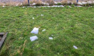 Każdy ogrodnik robi to w lutym. Trawnik odwdzięczy się wiosną