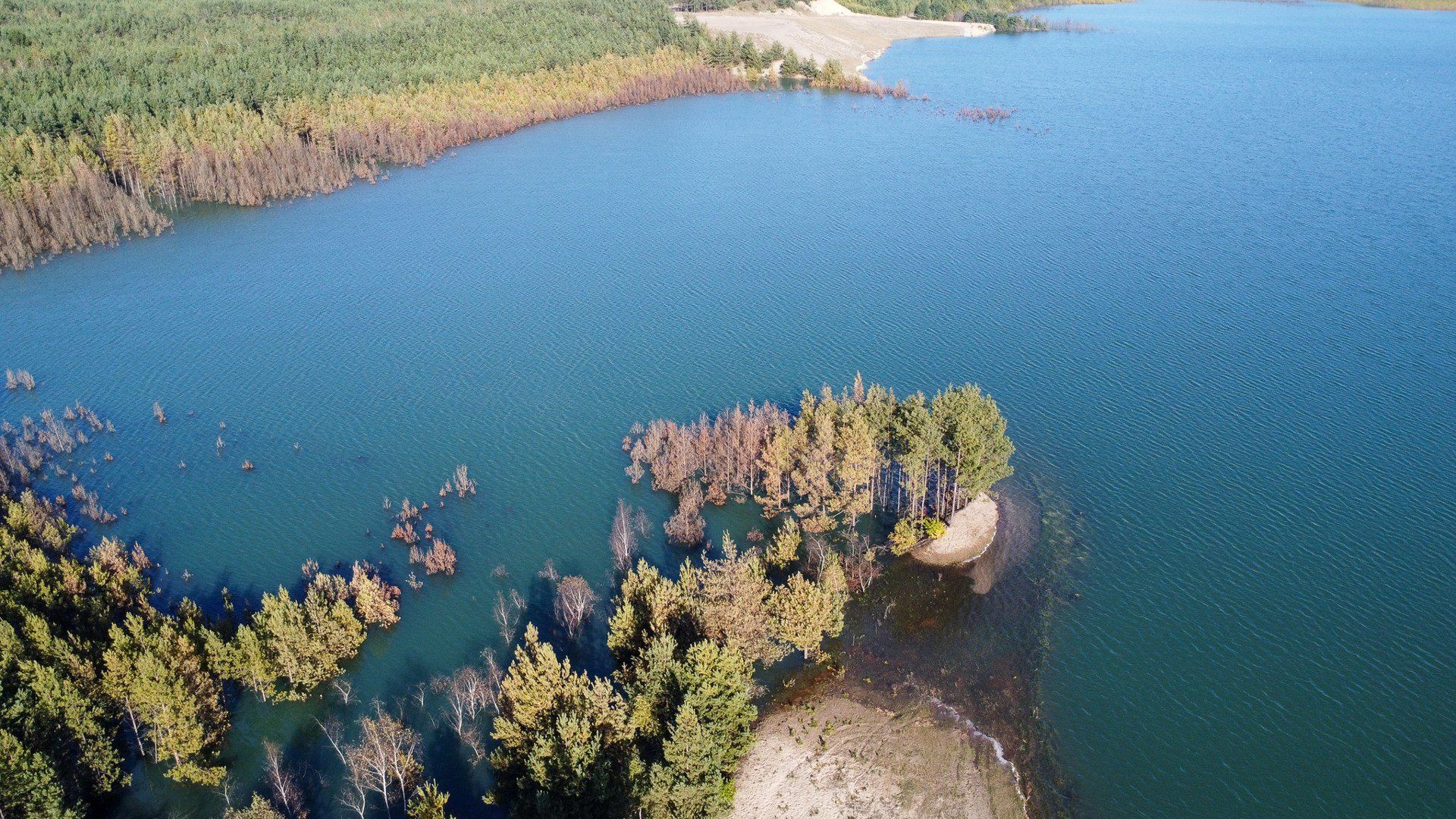 Pojezierze Olkuskie