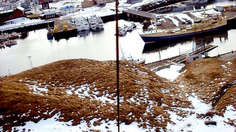 Poradnik: fotografia latawcowa 1