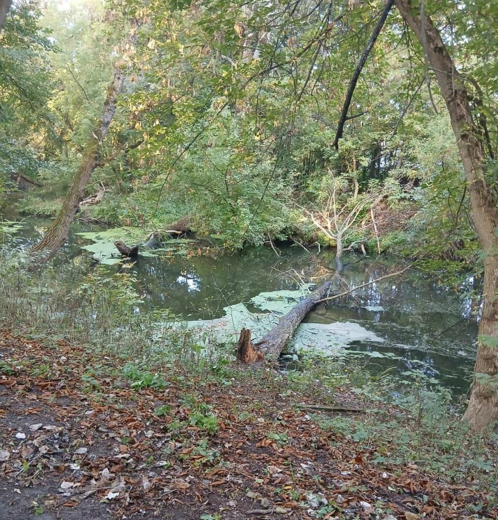 Konstancin-Jeziorna: 47-latka wpadła do rzeki. Wyziębiona trafiła do szpitala