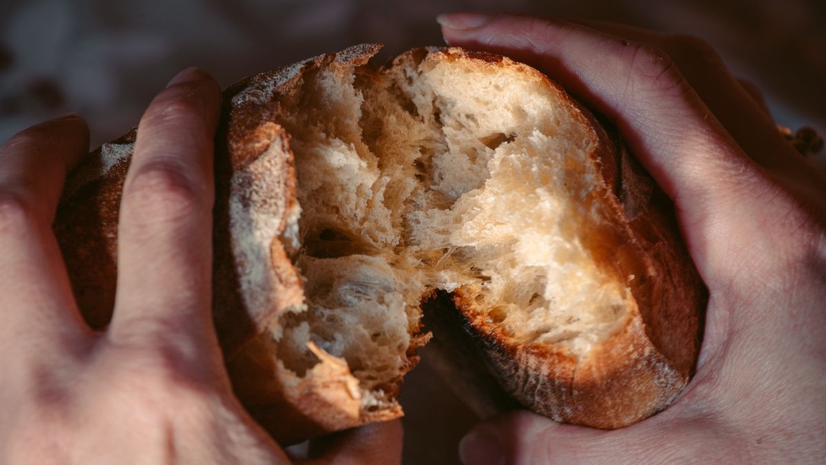 Female hands close-up breaking fresh baguette breadFemale hands close-up breaking fresh baguette bread. Warm old french room in background. Hands tearing apart loaf.Sasha Samardzija