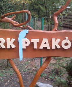 Zamyka Ptaszarnię po 13 latach. Park nie podniósł się już po pandemii