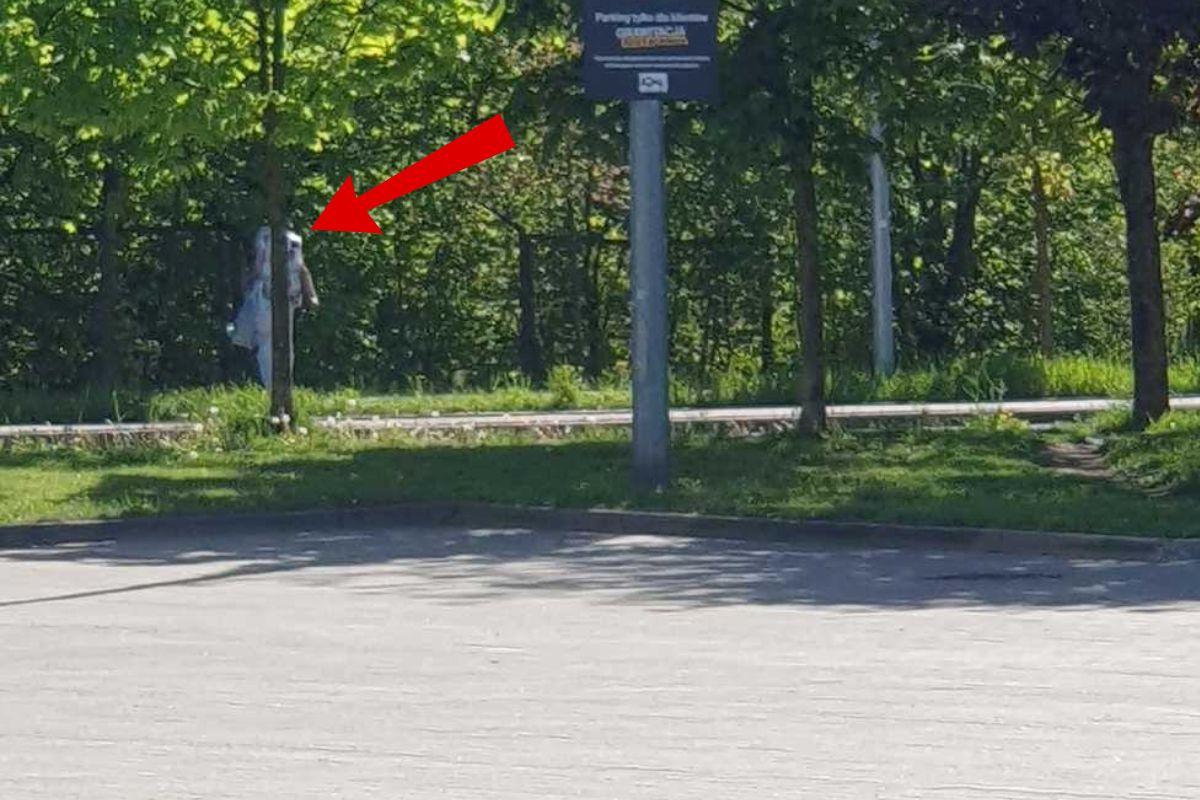 Kobieta schowała się za drzewem.