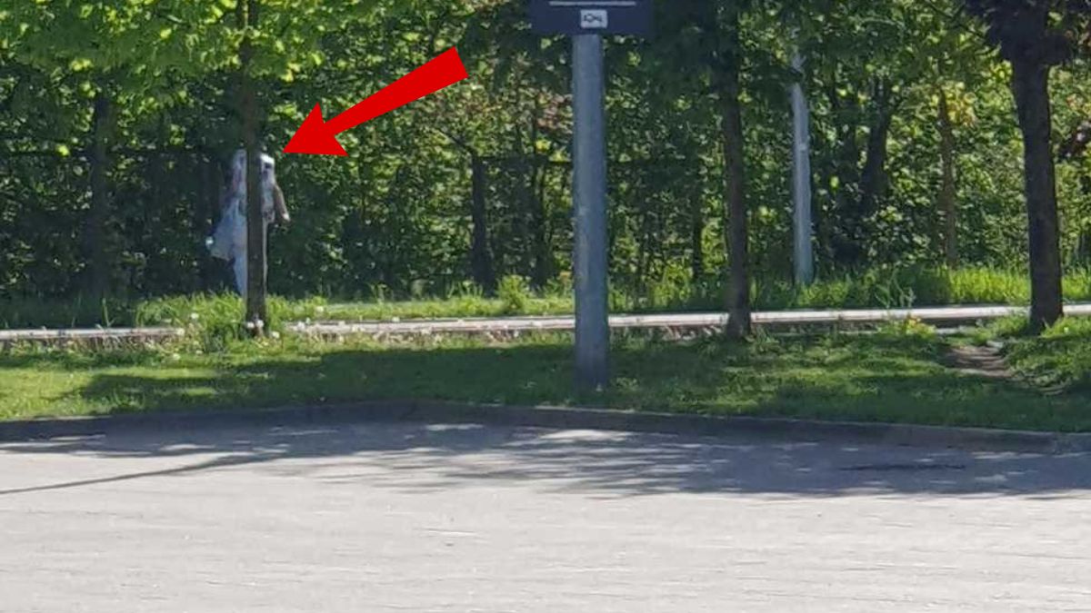 Kobieta schowała się za drzewem.