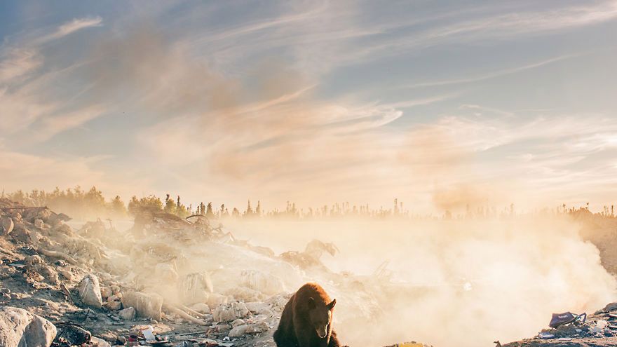 Jedno z najbardziej wzruszających zdjęć ostatnich tygodni 1