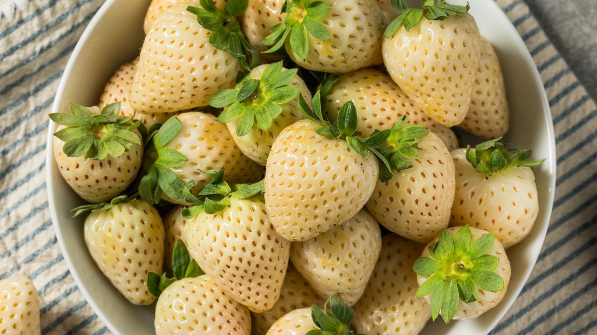 Ten owoc wygląda jak niedojrzała truskawka, a smakuje wybornie