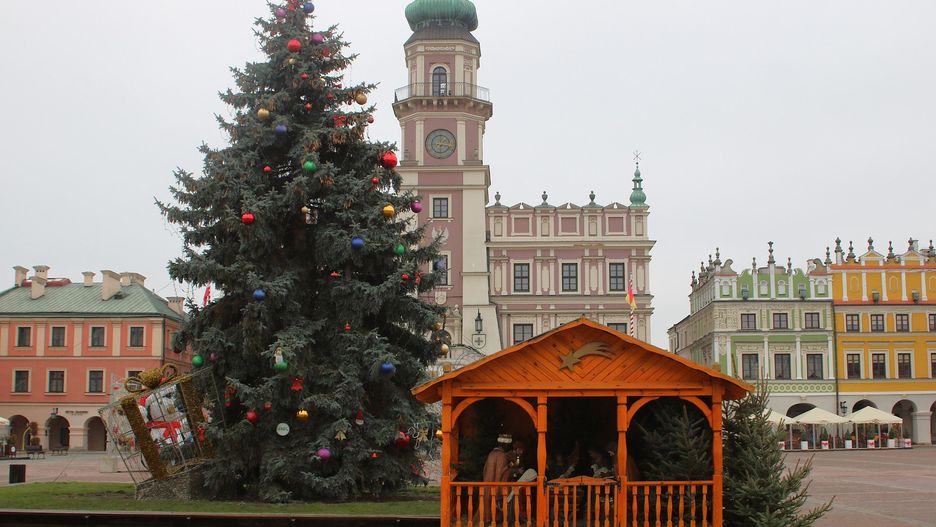 Szopka bożonarodzeniowa w Zamościu. Obok stanęła duża choinka oraz świąteczne dekoracje
