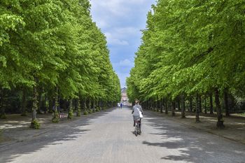 Palisadowy płot i biletomat. Nowości w Parku Kulturowym Korycin Milewszczyzna
