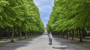 Palisadowy płot i biletomat. Nowości w Parku Kulturowym Korycin Milewszczyzna