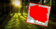 Uwaga, alarm! Prawie cała Polska na czerwono