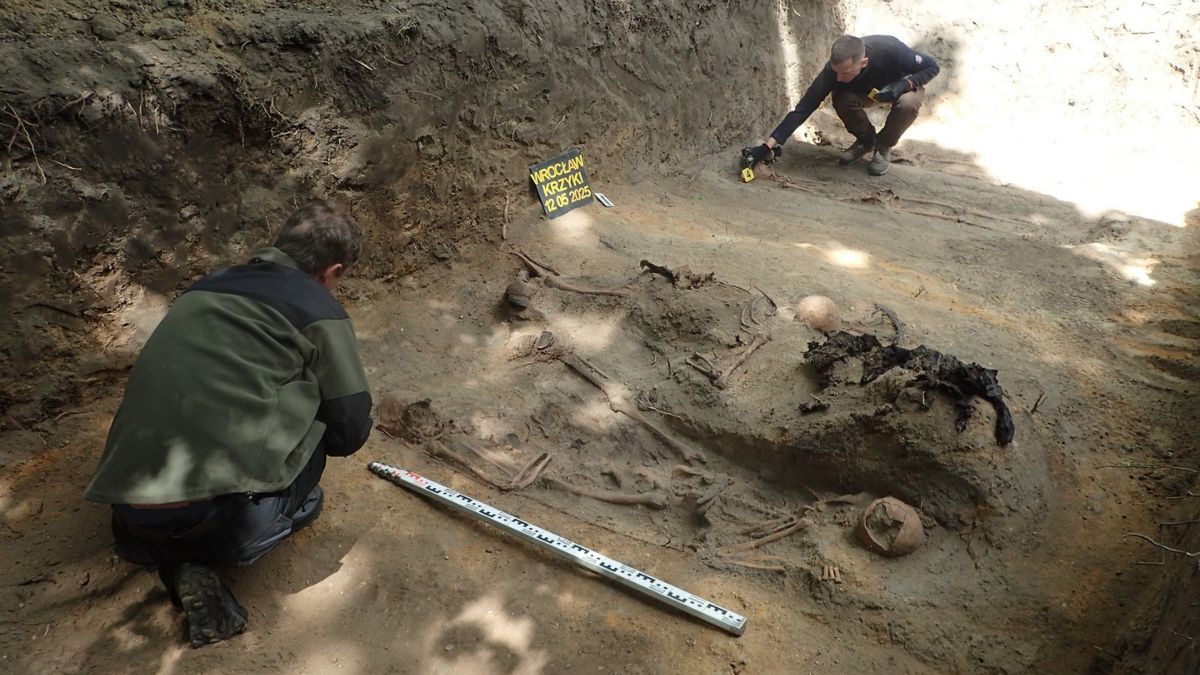 POMOST wykonał kolejne prace archeologiczno-ekshumacyjne.