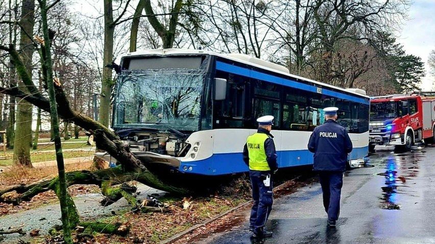 Autobus wjechał w drzewo