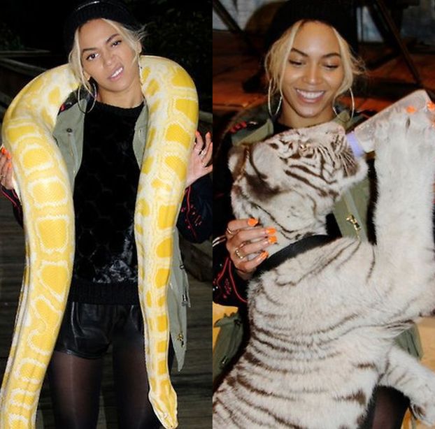 Beyonce pozuje z wężem!