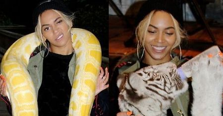 Beyonce pozuje z wężem!