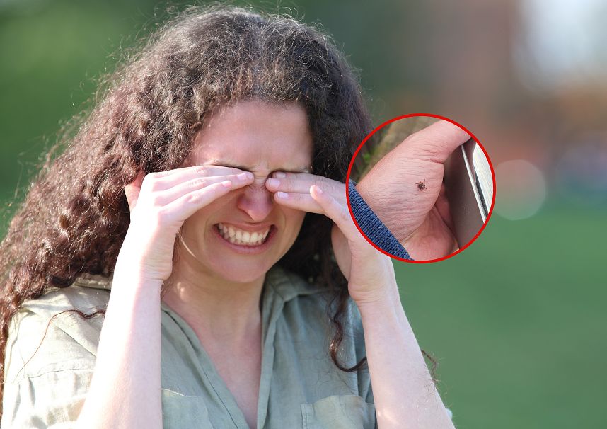 Padł rekord zakażeń KZM. "Wystarczy ukłucie. Od tego momentu nie można zrobić już nic"