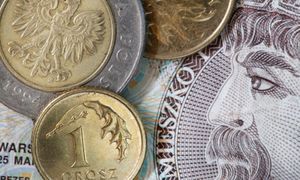 Rewolucja w stażu pracy. ZUS zapowiada pełną cyfryzację procesu