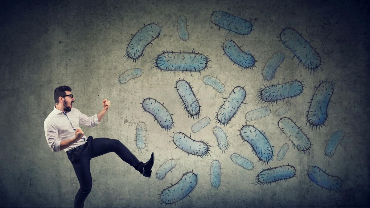 Do komórek odpornościowych zalicza się leukocyty, czyli białe krwinki krwi, które wpływają na stan odporności