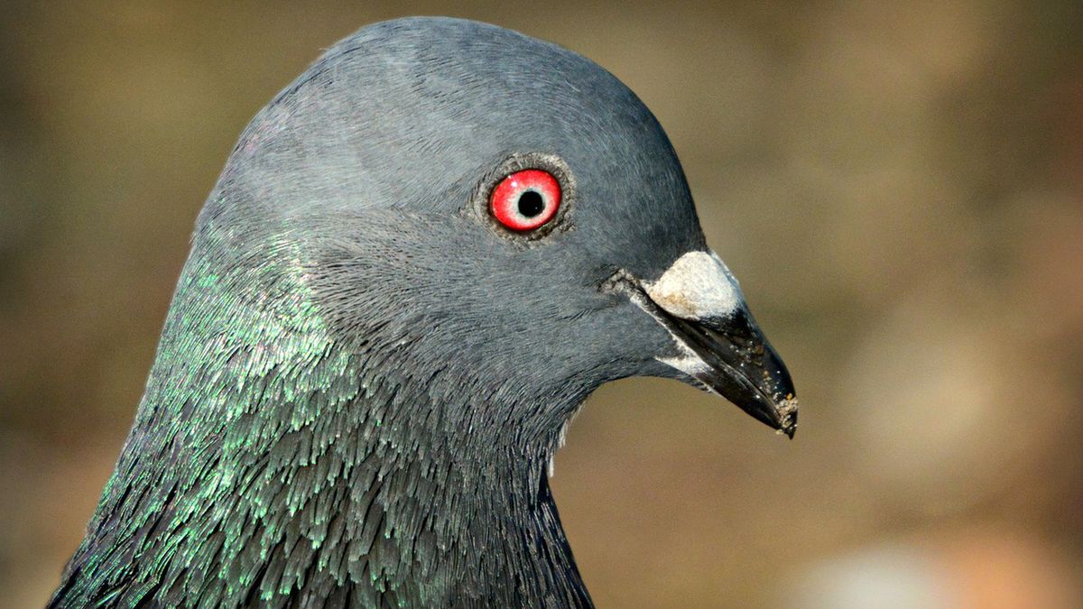 Zdjęcie ilustracyjne