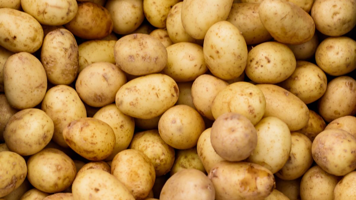 Kokaina z Kostaryki ukryta była w ziemniakach 