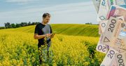 Dopłaty 2025. 17,46 mld zł już wypłacono, ale część rolników nadal bez pieniędzy