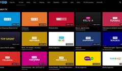 Kanały TVP w Playerze i Polsat Box Go? Serwisom grożą wysokie kary