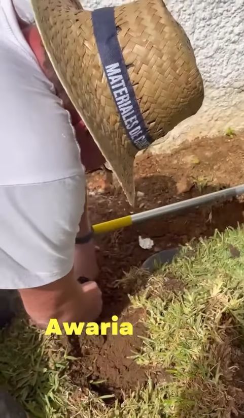 Pechowy urlop Katarzyny Dowbor