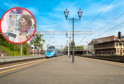 PKP kusi pracą i pensją. Ile można zarobić i jak to się ma do innych ofert państwowych spółek?