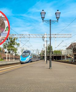 PKP kusi pracą i pensją. Ile można zarobić i jak to się ma do innych ofert państwowych spółek?