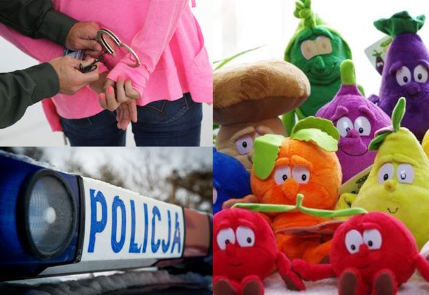 30-letnia mieszkanka Pułtuska ukradła... 1378 naklejek ze "Świeżakami"! Grozi jej 5 lat więzienia