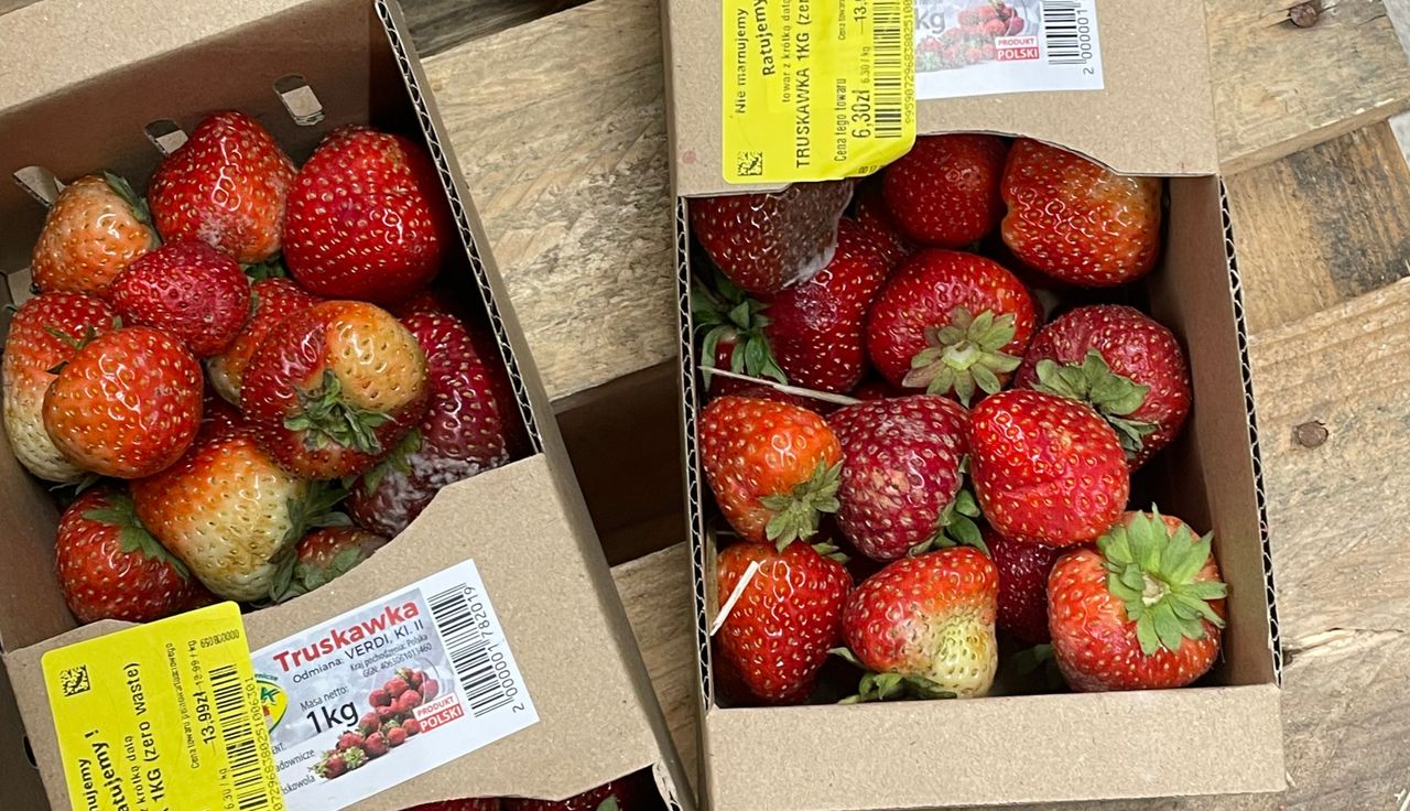 "Aż zrobiło mi się niedobrze". Zdjęcia ze sklepu Auchan