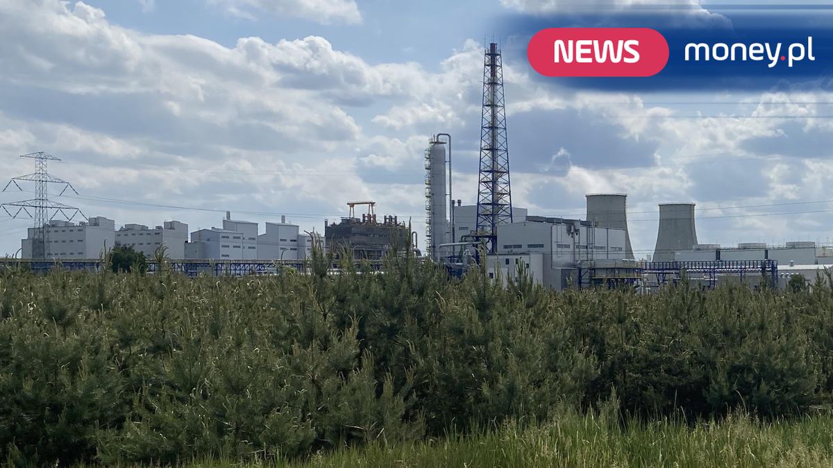 Ostatnio cała Grupa Azoty zanotowała fatalne wyniki finansowe. Strata netto wyniosła ponad 555 mln zł.