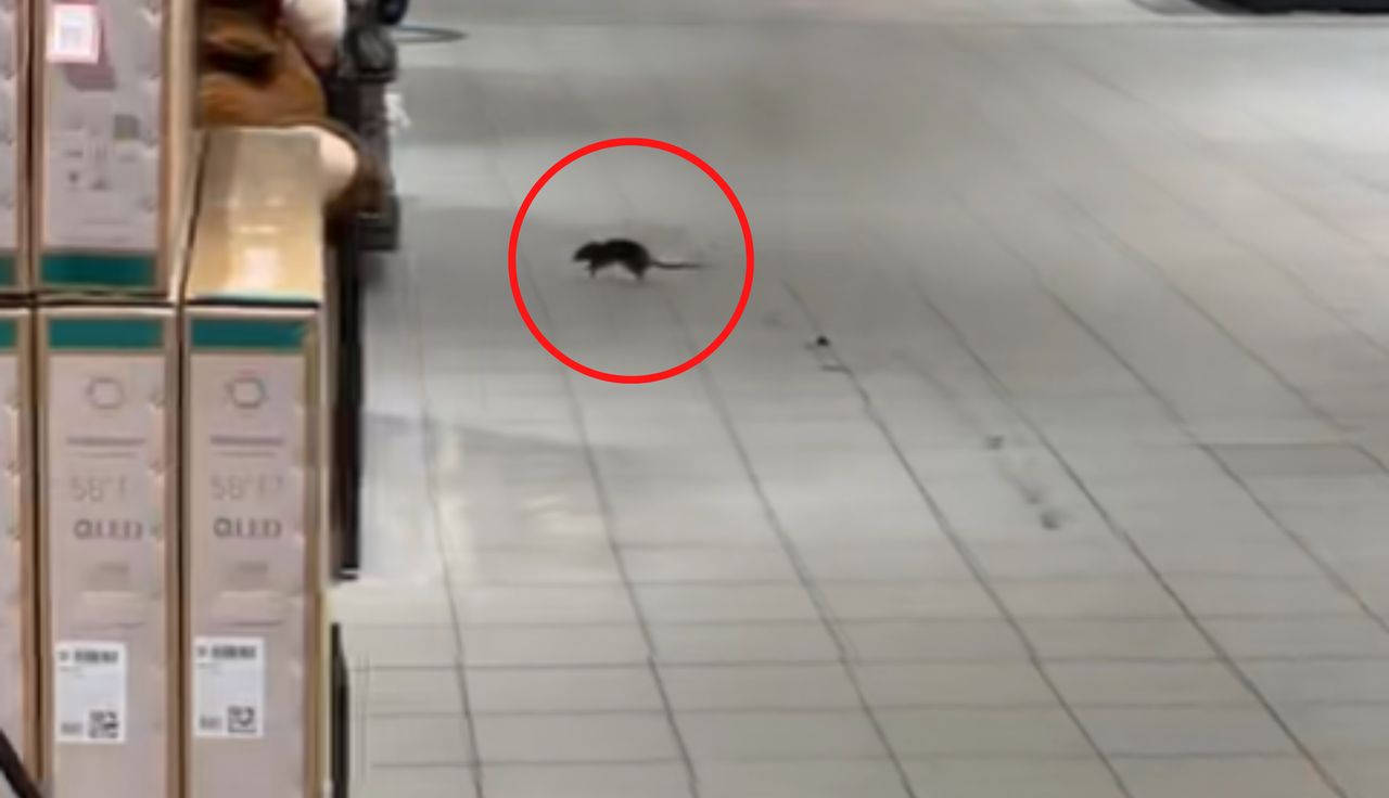 Był w niemieckim Kauflandzie. A tam taki widok. 2 mln wyświetleń