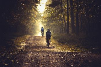 Żuławski Rajd Rowerowy. Przejechali 80 km przez serce Żuław i Kociewia