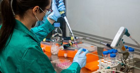 Koronawirus wykryty w małżach. Jest hipoteza o źródle skażenia