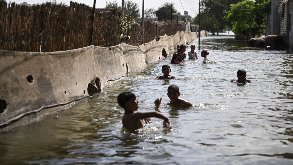 Tak po wylaniu Nilu wyglądały ulice w egipskich 