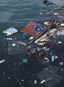 Garbage thrown from ships has ended up choking the Black Sea and the Danube Delta. Authorities do not acknowledge the problem