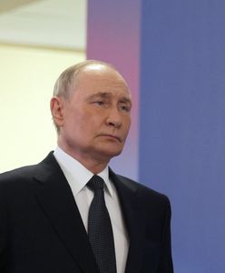 Rozejm w Ukrainie. "Nie wrócą, aby zbierać kukurydzę"