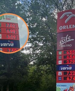 "Anomalie na Orlenie". Ekspert mówi, dlaczego część kierowców płaci więcej