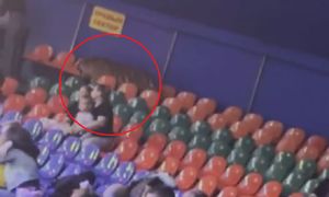 Tygrys na widowni w Rosji. Ludzie byli w szoku